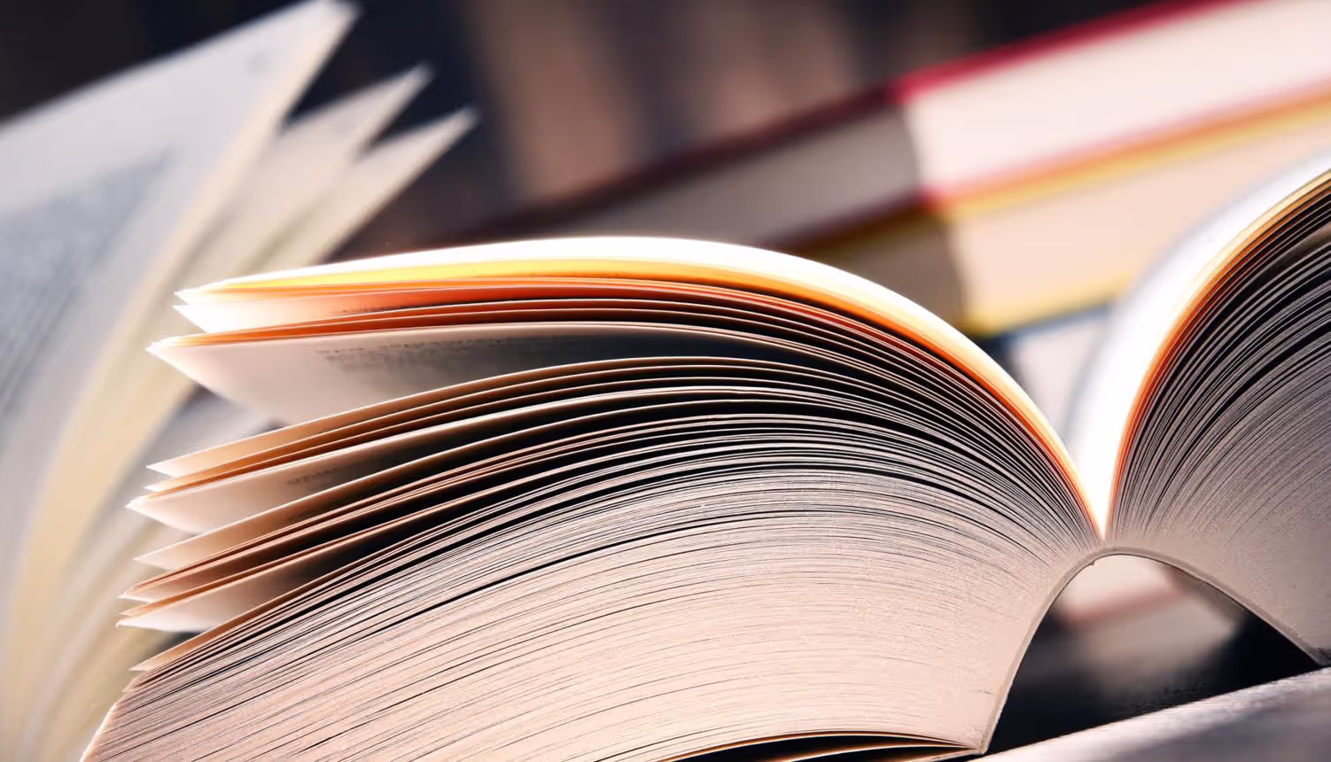 Images guide how we read stories