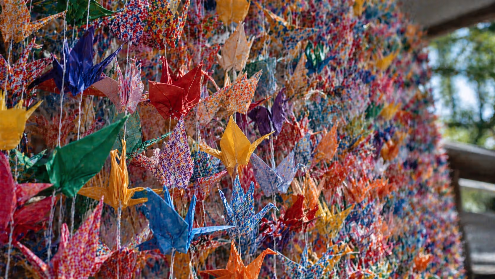 Paper cranes became a symbol of hope and peace