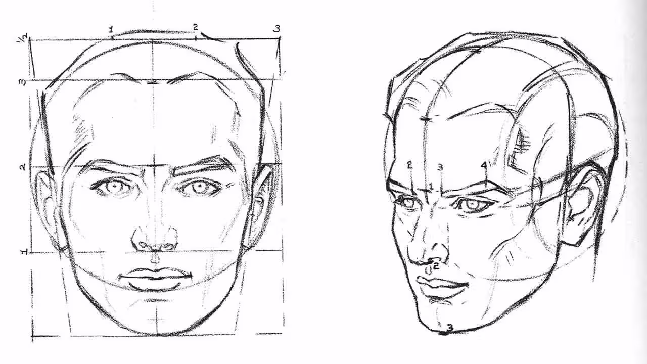Understanding head planes